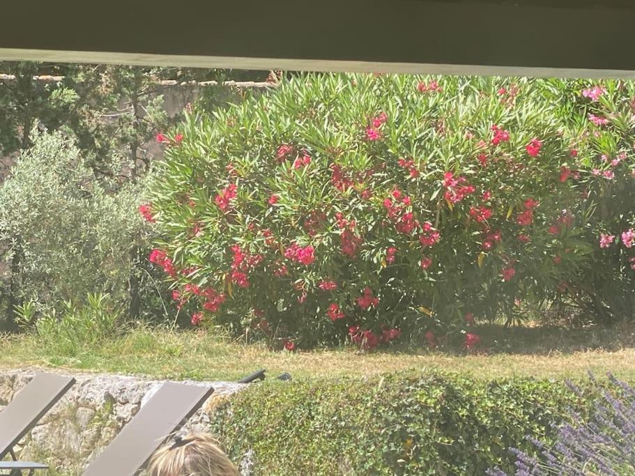Ar De Vie Villa Chaleureuse En Provence Ventabren エクステリア 写真